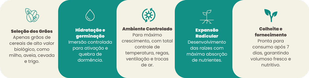 biofeed-forragem-hidroponica-sp