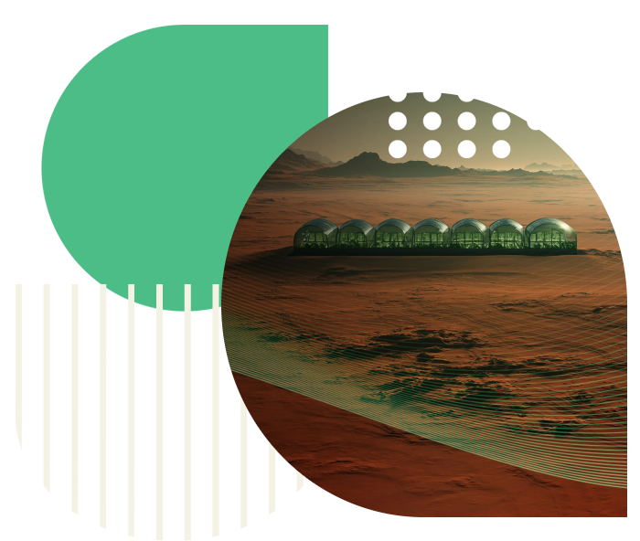 biofeed-forragem-hidroponica