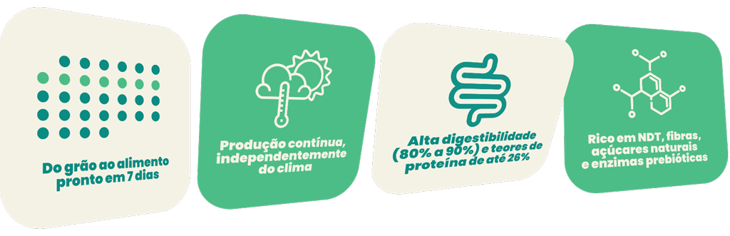 ciclo-fvh