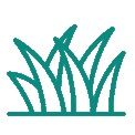 forragem-hidroponica-biofeed-colheita-diaria