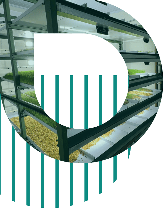 producao-animal-biofeed